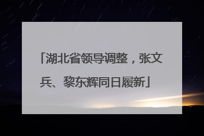 湖北省领导调整，张文兵、黎东辉同日履新