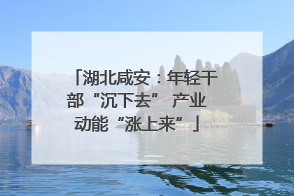 湖北咸安：年轻干部“沉下去” 产业动能“涨上来”