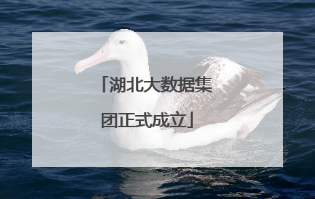 湖北大数据集团正式成立