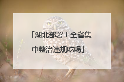 湖北部署！全省集中整治违规吃喝