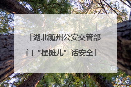 湖北随州公安交管部门“摆摊儿”话安全