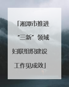 湘潭市推进“三新”领域妇联组织建设工作见成效
