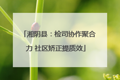 湘阴县：检司协作聚合力 社区矫正提质效