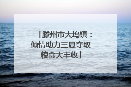 滕州市大坞镇：倾情助力三夏夺取粮食大丰收