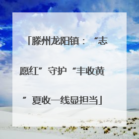 滕州龙阳镇：“志愿红”守护“丰收黄”夏收一线显担当