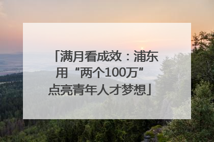 满月看成效：浦东用“两个100万”点亮青年人才梦想