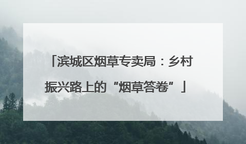 滨城区烟草专卖局：乡村振兴路上的“烟草答卷”