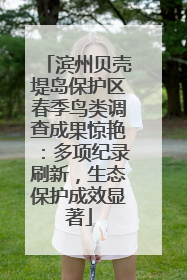 滨州贝壳堤岛保护区春季鸟类调查成果惊艳：多项纪录刷新，生态保护成效显著