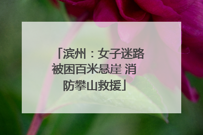 滨州：女子迷路被困百米悬崖 消防攀山救援