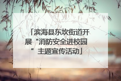 滨海县东坎街道开展“消防安全进校园”主题宣传活动
