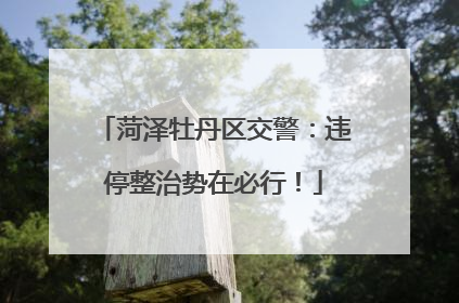 菏泽牡丹区交警：违停整治势在必行！