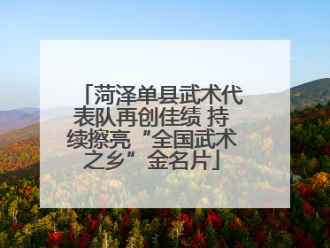 菏泽单县武术代表队再创佳绩 持续擦亮“全国武术之乡”金名片