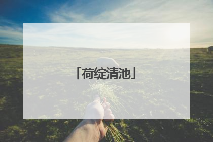 荷绽清池