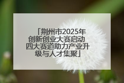 荆州市2025年创新创业大赛启动 四大赛道助力产业升级与人才集聚