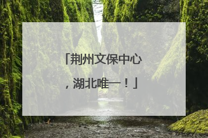 荆州文保中心，湖北唯一！