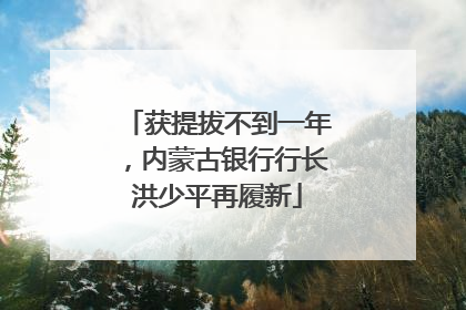 获提拔不到一年，内蒙古银行行长洪少平再履新