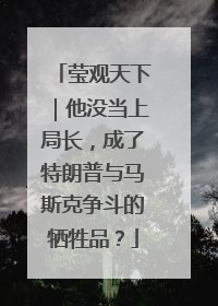 莹观天下｜他没当上局长，成了特朗普与马斯克争斗的牺牲品？