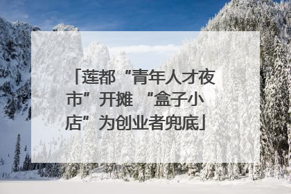 莲都“青年人才夜市”开摊 “盒子小店”为创业者兜底
