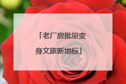 老厂房批量变身文旅新地标