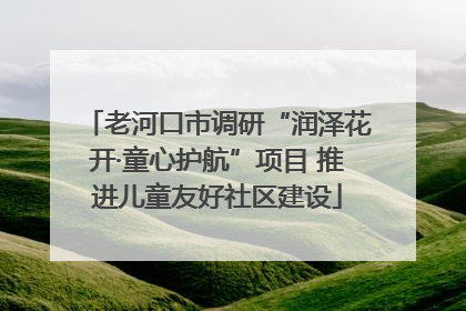 老河口市调研“润泽花开·童心护航”项目 推进儿童友好社区建设