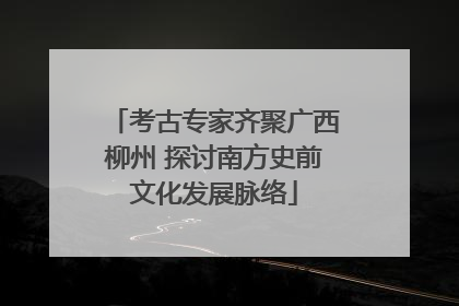 考古专家齐聚广西柳州 探讨南方史前文化发展脉络