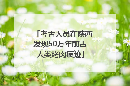 考古人员在陕西发现50万年前古人类烤肉痕迹