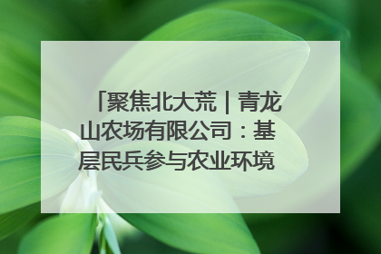 聚焦北大荒｜青龙山农场有限公司：基层民兵参与农业环境综合治理显效