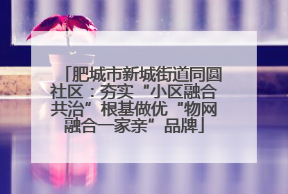 肥城市新城街道同圆社区：夯实“小区融合共治”根基做优“物网融合一家亲”品牌