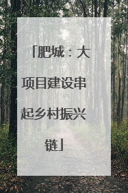 肥城：大项目建设串起乡村振兴链