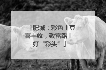肥城：彩色土豆喜丰收，致富路上好“彩头”
