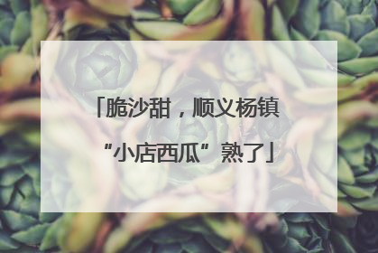 脆沙甜，顺义杨镇“小店西瓜”熟了