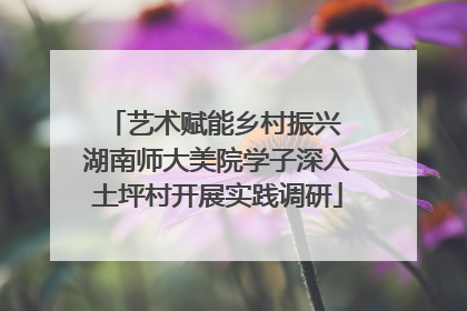 艺术赋能乡村振兴 湖南师大美院学子深入土坪村开展实践调研