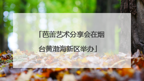 芭蕾艺术分享会在烟台黄渤海新区举办