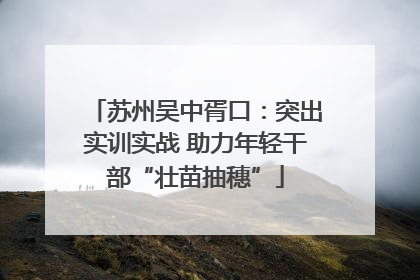 苏州吴中胥口：突出实训实战 助力年轻干部“壮苗抽穗”