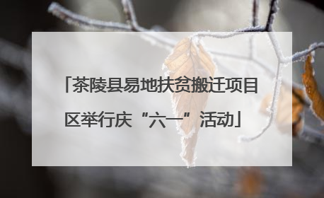 茶陵县易地扶贫搬迁项目区举行庆“六一”活动