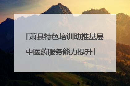 萧县特色培训助推基层中医药服务能力提升