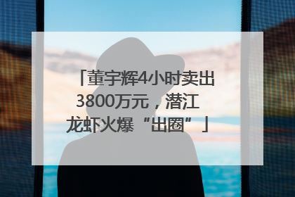 董宇辉4小时卖出3800万元，潜江龙虾火爆“出圈”