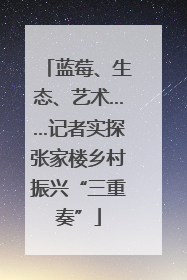 蓝莓、生态、艺术……记者实探张家楼乡村振兴“三重奏”