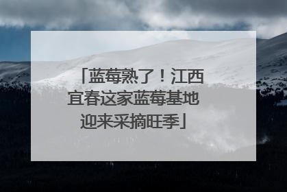 蓝莓熟了！江西宜春这家蓝莓基地迎来采摘旺季