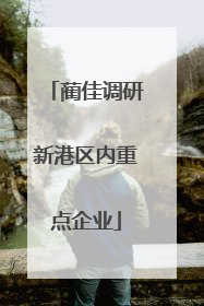 蔺佳调研新港区内重点企业