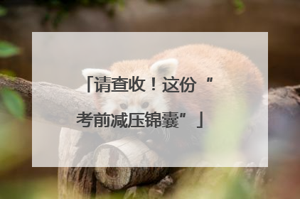 请查收！这份“考前减压锦囊”