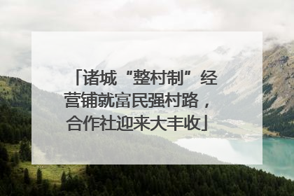 诸城“整村制”经营铺就富民强村路，合作社迎来大丰收