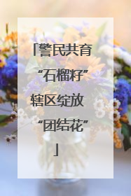 警民共育“石榴籽” 辖区绽放“团结花”