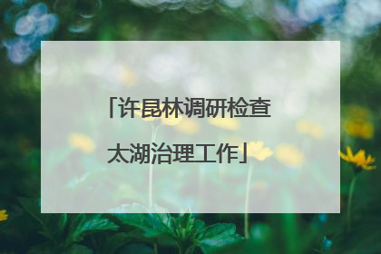 许昆林调研检查太湖治理工作