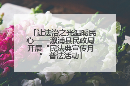 让法治之光温暖民心——溆浦县民政局开展“民法典宣传月” 普法活动