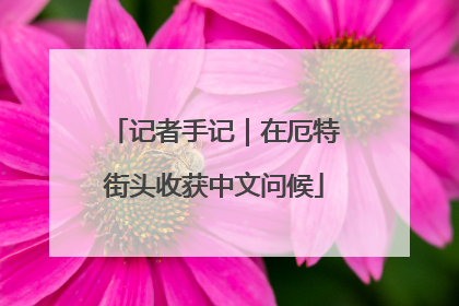 记者手记｜在厄特街头收获中文问候