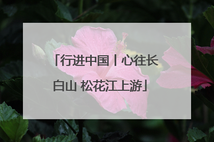 行进中国丨心往长白山 松花江上游