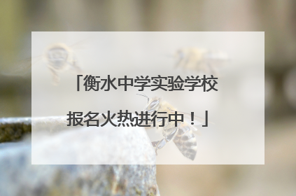 衡水中学实验学校报名火热进行中！