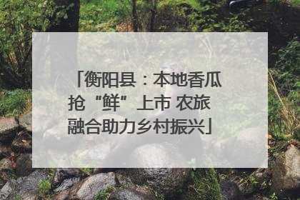 衡阳县：本地香瓜抢“鲜”上市 农旅融合助力乡村振兴