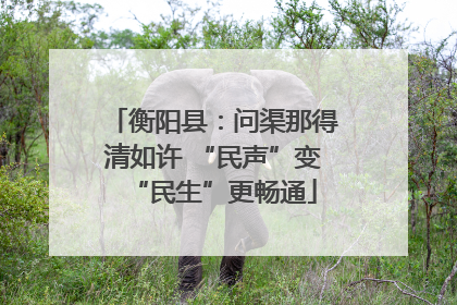 衡阳县：问渠那得清如许 “民声”变“民生”更畅通